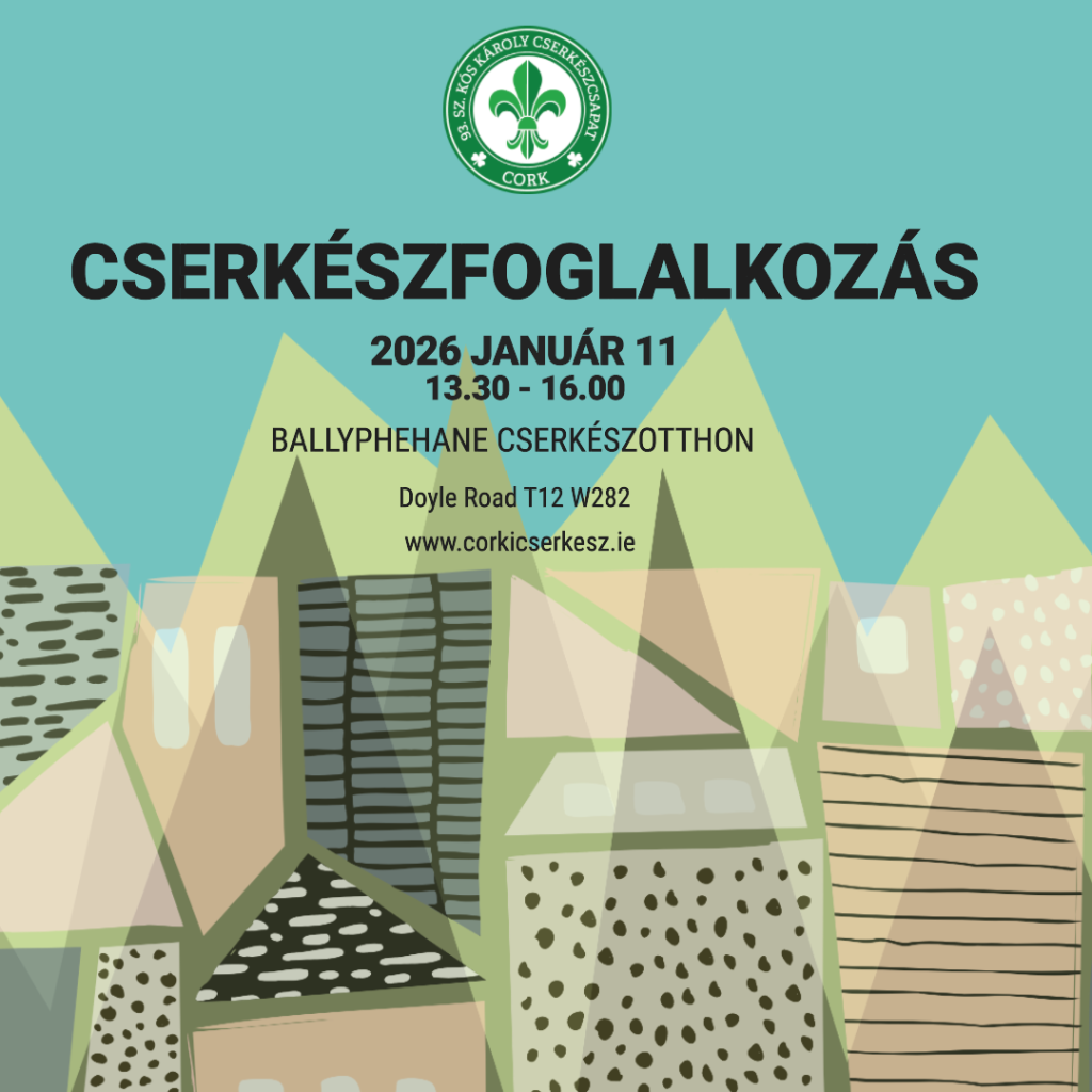 Cserkészfoglalkozás – Január 11.